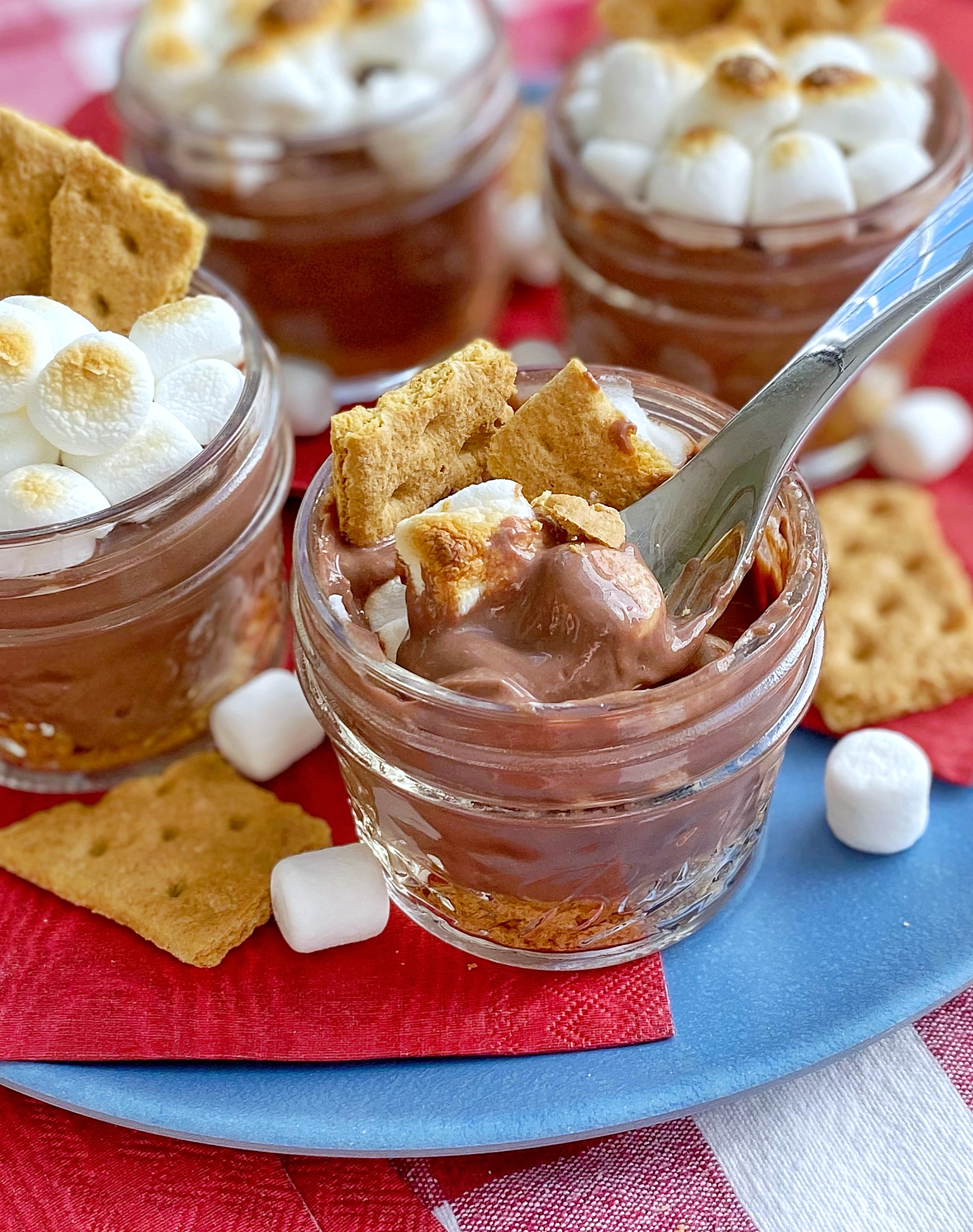 S'mores Pudding Cups (Vegan Chocolate Protein Pudding) Happy Kids Kitchen by Heather Wish Staller