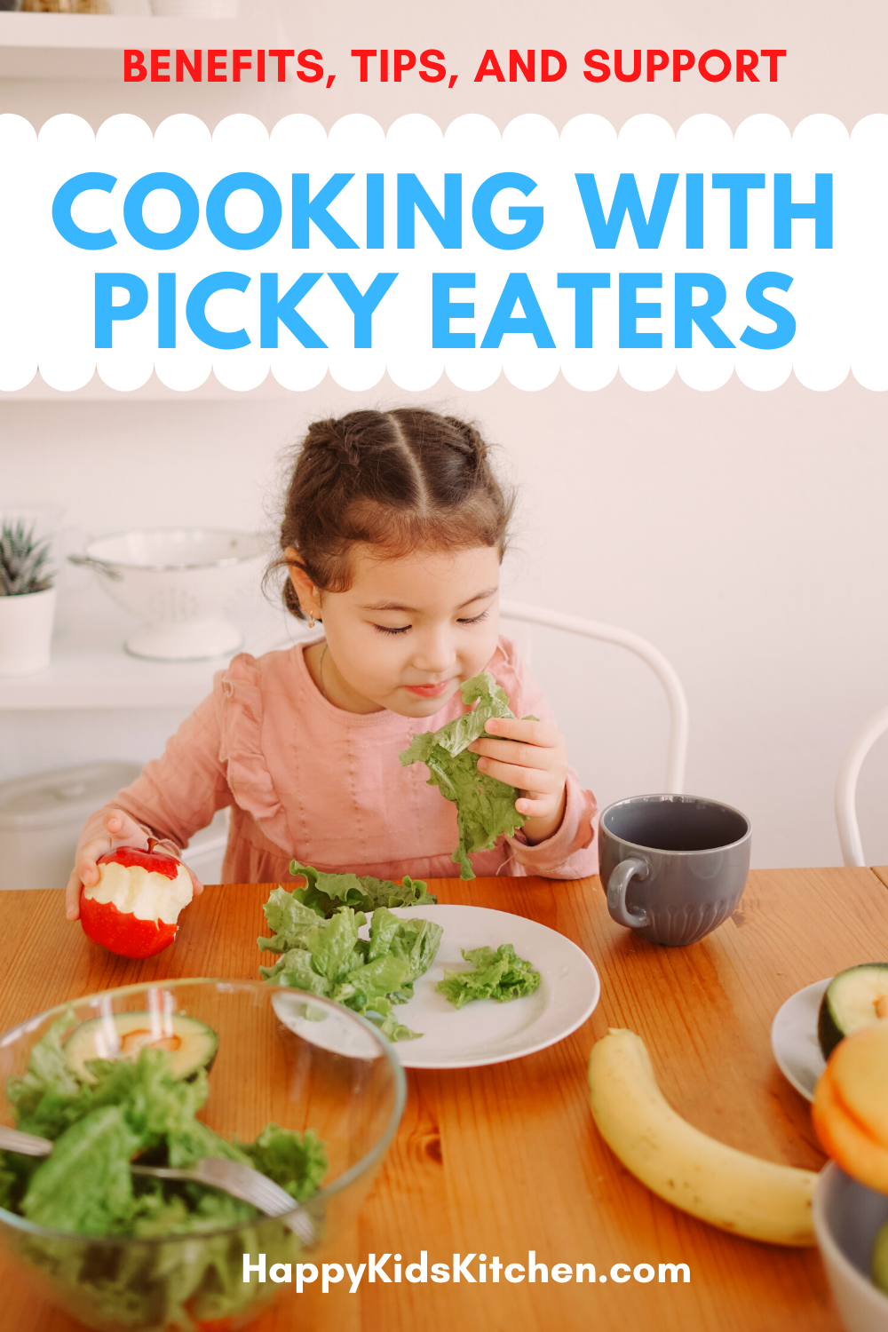Healthy Lunch Box Ideas for Toddlers and Kids - Happy Kids Kitchen by  Heather Wish Staller
