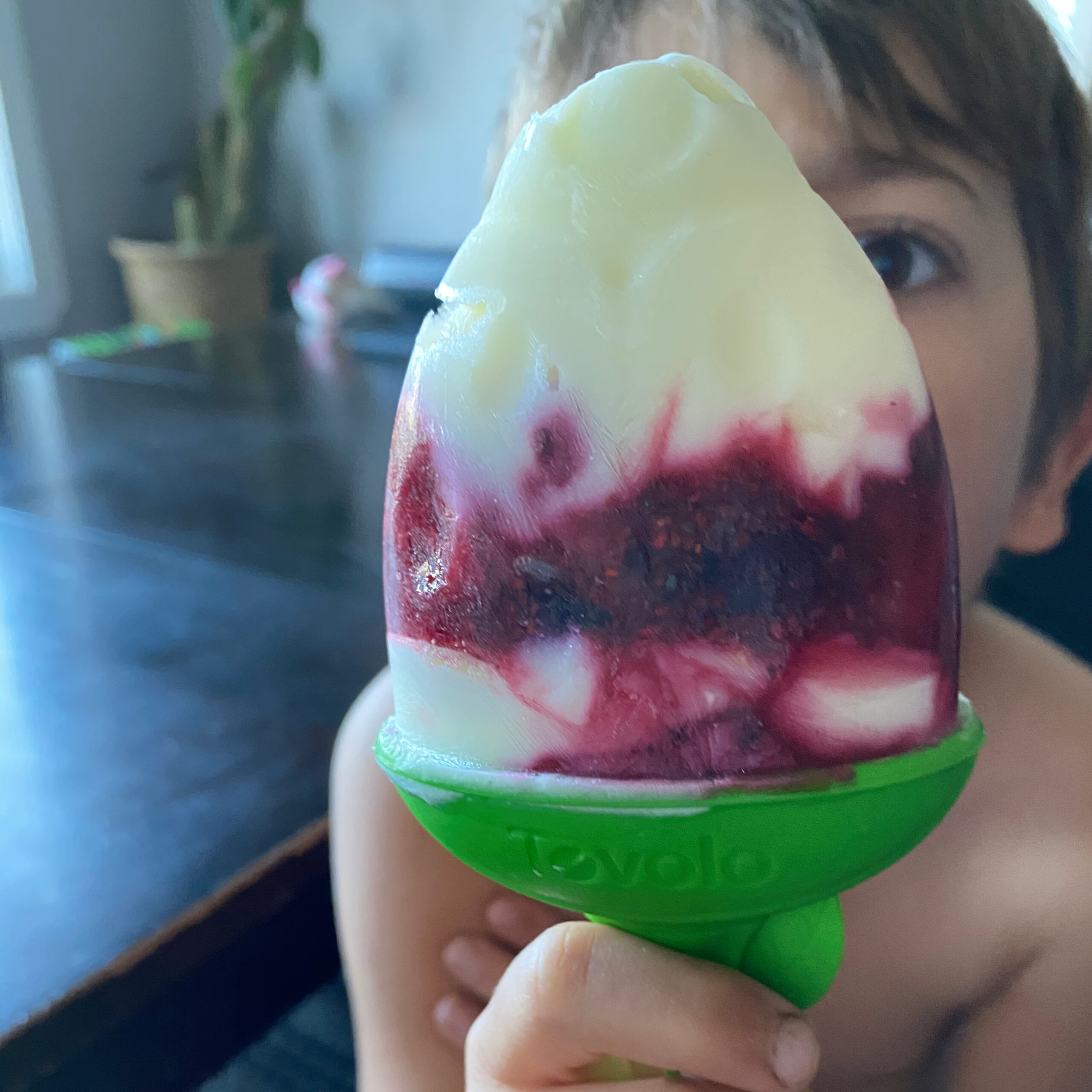 Child holding a white and red popsicle in front of his face